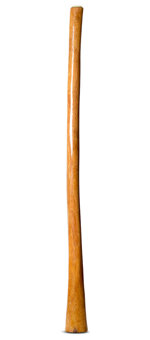 Gloss Finish Flared Didgeridoo (TW1060)